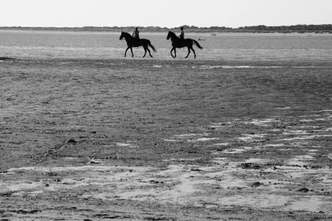 Watching the beach Stock Photos