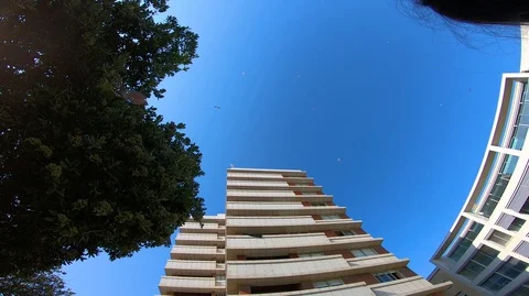 WATCHING TO BIRDS TREE BUILDING AND SKY Stock Footage 94759711