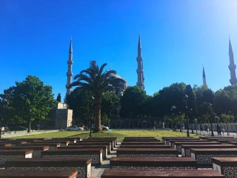Watching The Blue Mosque. Stock Photos