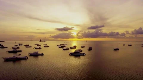 Watching the boats drift gently under the golden sunset Stock Footage 304257982
