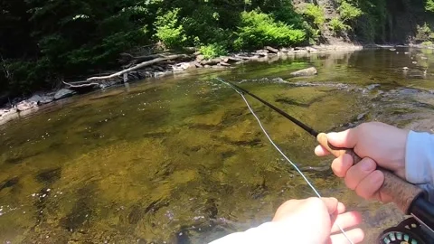 Watching bobber Stock-Footage 336031317
