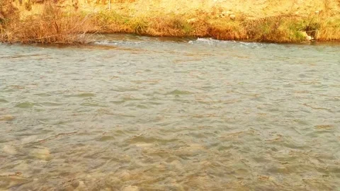 Watching a clean river flow Stock Footage 144115344
