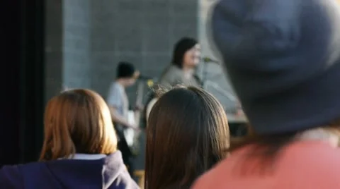 Watching a concert Stock-Footage 8683361