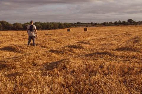 Watching a field Stock Photos