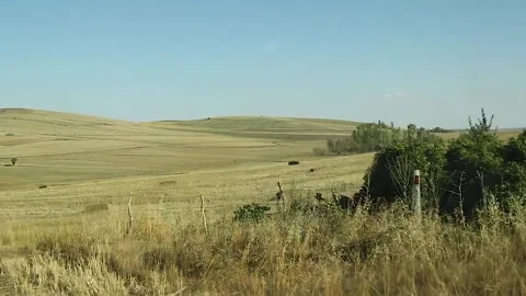Watching the fields and the sky from the car window. Stock Footage 165369074