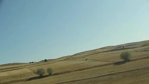 Watching the fields and the sky from the car window. Stock Footage 165369218