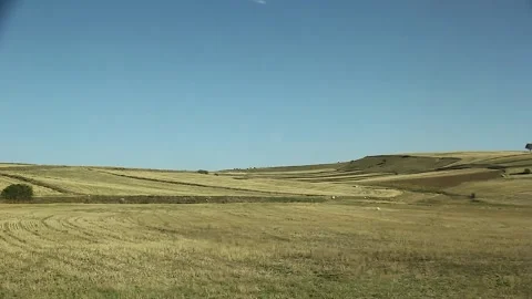 Watching the fields and the sky from the car window. Stock Footage 165369336