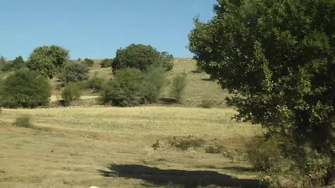 Watching the fields and the sky from the car window. Stock Footage 165369581