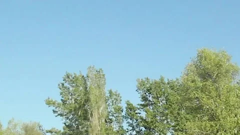 Watching the fields and the sky from the car window. Stock Footage 165369656