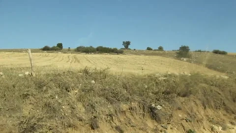 Watching the fields and the sky from the car window. Stock Footage 165369715