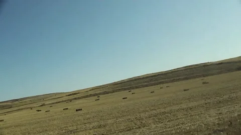 Watching the fields and the sky from the car window. Stock Footage 165369941