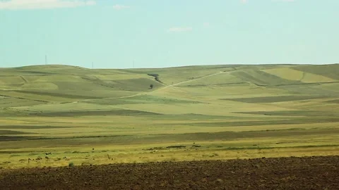 Watching the fields and the sky from the car window. Stock Footage 165370135