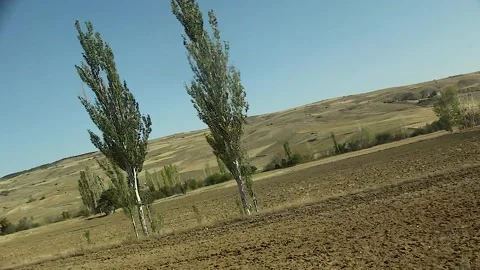 Watching the fields and the sky from the car window. Stock Footage 165370240