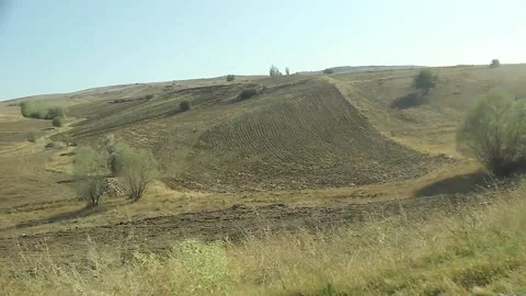 Watching the fields and the sky from the car window. Stock Footage 165370359