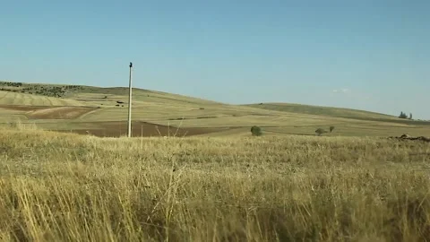 Watching the fields and the sky from the car window. Stock Footage 165370488