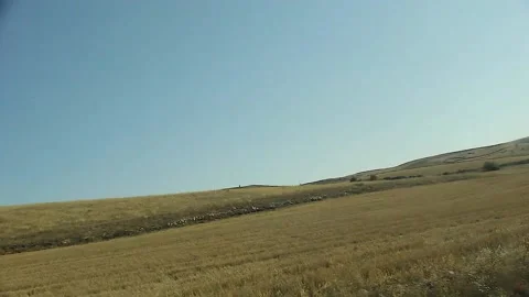 Watching the fields and the sky from the car window. Stock Footage 165370641