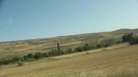 Watching the fields and the sky from the car window. Stock Footage 165371238