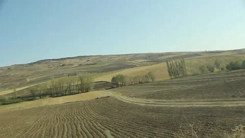 Watching the fields and the sky from the car window. Stock Footage 165371432