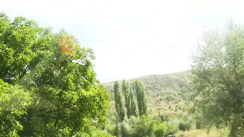 Watching the fields and the sky from the car window. Stock Footage 165372088