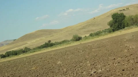 Watching the fields and the sky from the car window. Stock Footage 165397216