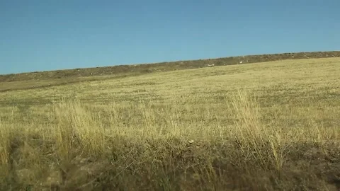Watching the fields and the sky from the car window. Stock Footage 165397377