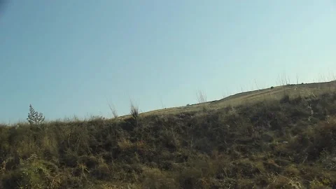 Watching the fields and the sky from the car window. Stock Footage 165397396