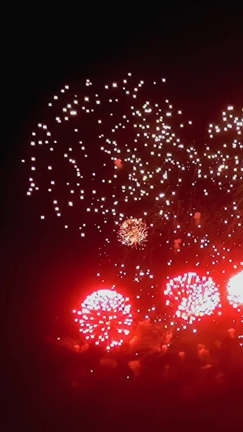 Watching Fireworks Explode in the Night Sky During Independence Day Video stock 344464000
