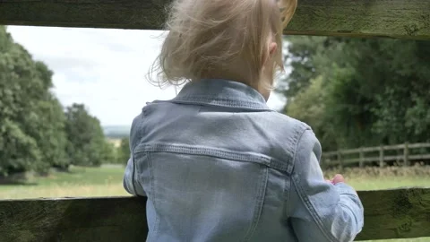 Watching horses feeding Video stock 134570631