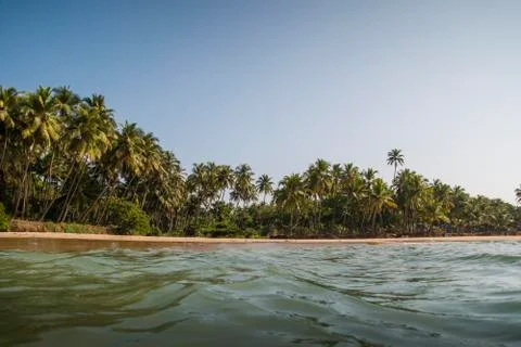 Watching palm trees from the waves 스톡 사진