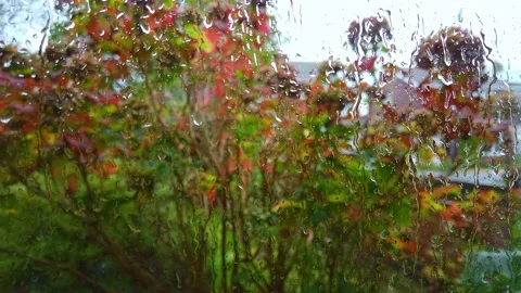 Watching the rain dribble down a window pane during a heavy rain shower 스톡 동영상 221546984
