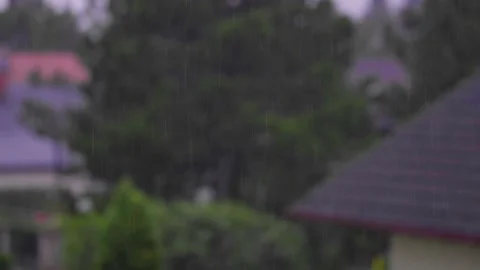 Watching rain falling Stock Footage 139872689
