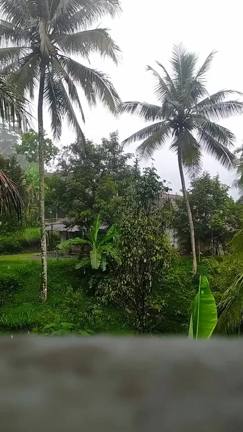 Watching the rain from the window Video stock 303555085