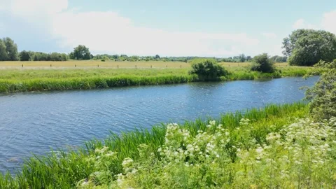 Watching the river Nene flow, and the river bank blow in the wind Stock Footage 338187345