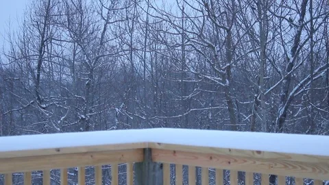 Watching the Snow Fall Stock Footage 71226752