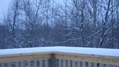 Watching the Snow Fall Stock Footage 71226969