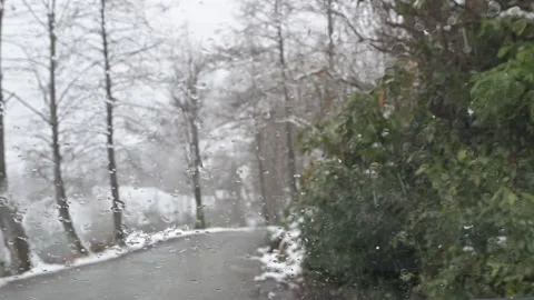 Watching the snow falling outside from inside the vehicle Stock Footage 301805562