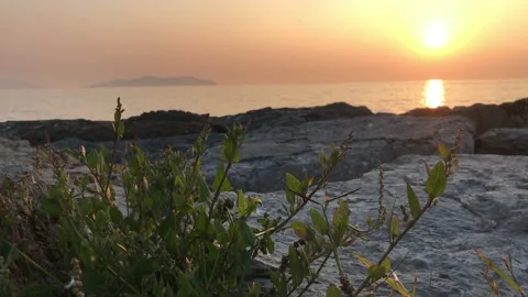 Watching the sunset from the beach Video stock 144337879