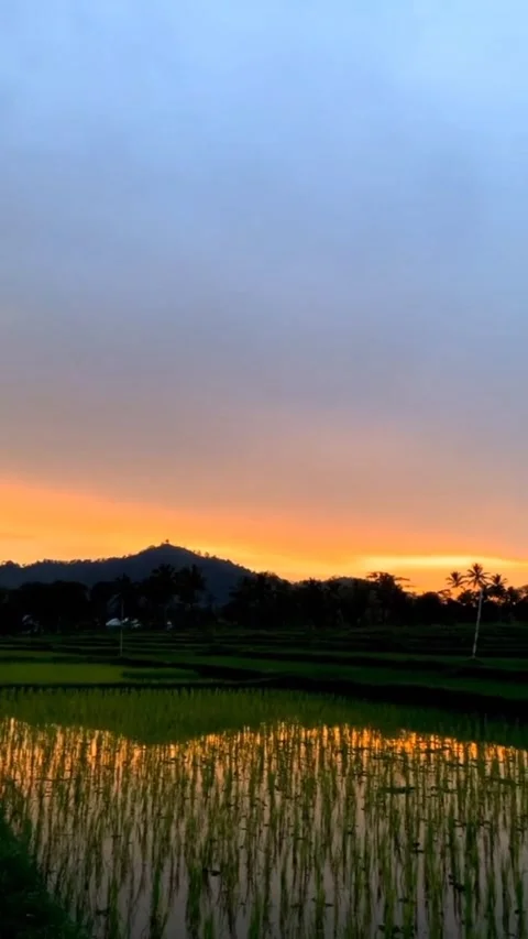 Watching the sunset in the countryside. Stock Footage 211716596