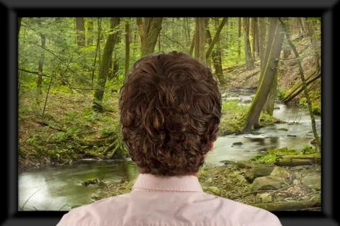 Watching Television Stock Photos