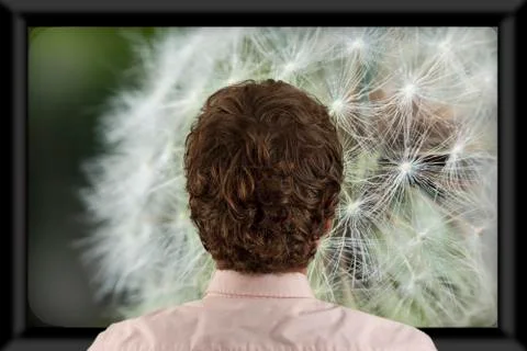 Watching Television Stock-Fotos
