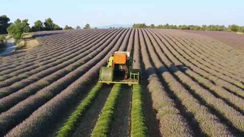 Watching a tractor combine harvester work on farmland during sunset Stock Footage 321626579