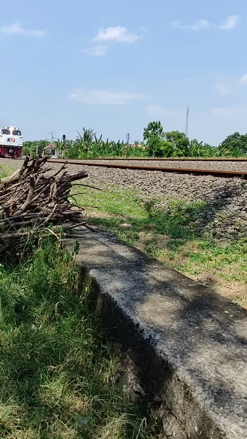 Watching Train in a Close Range Stock Footage 206085539