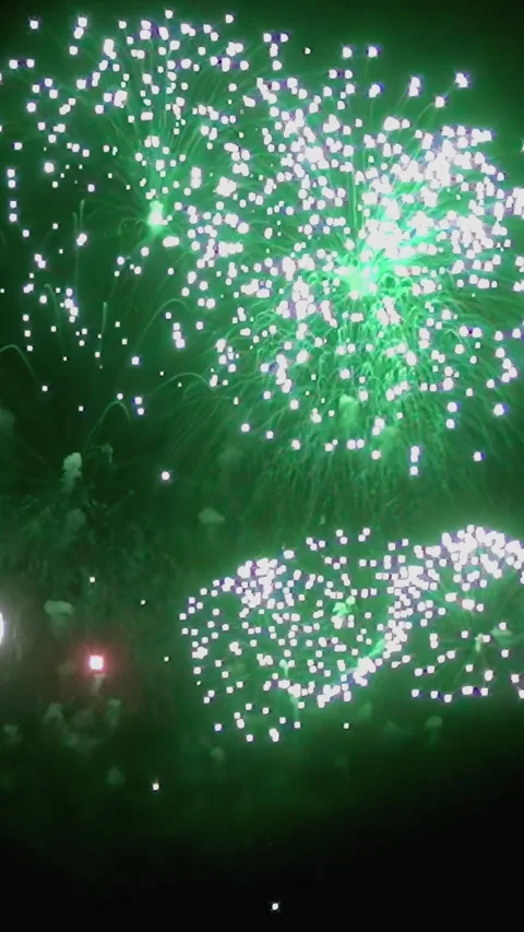 Watching Vibrant Fireworks Explode at Night in a Colorful Display Video stock 344465032