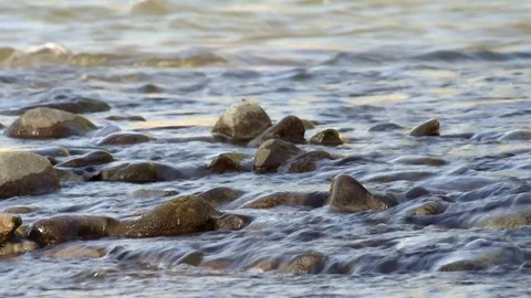 Watching the water flow concept: fast mountain river creek stream clear water Stock Footage 82268962