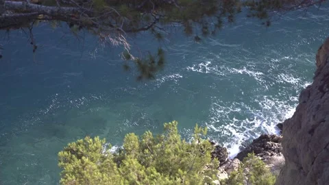 Watching the waves, between pine three branches, hitting into the cliff Stock Footage 168974537
