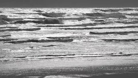Watching the Waves Video stock 161204976