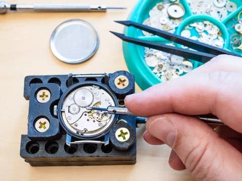 Watchmaker fixes clockwork of watch by screwdriver Stock Photos