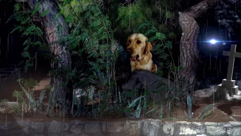 Watchman at the old cemetery Stock Footage 144405466