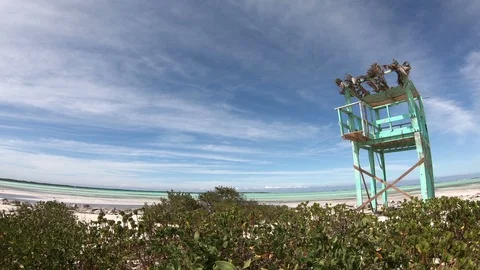 Watchtower on Bonaire Video stock 93321082