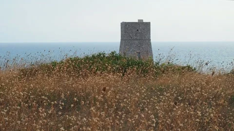 Watchtower in the field at sea Stock-Footage 66339837
